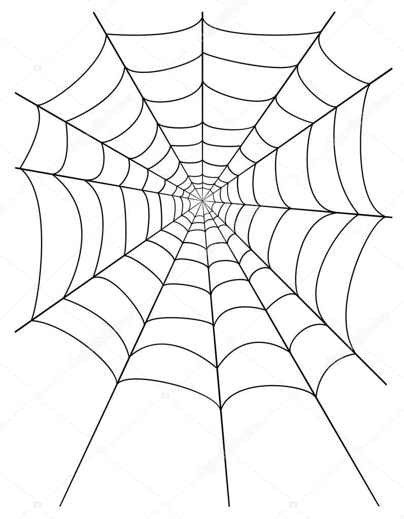 spider web stock vector illustration