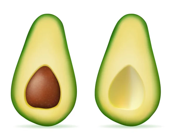 Grüne Avocado frische reife Früchte Vektor Illustration — Stockvektor