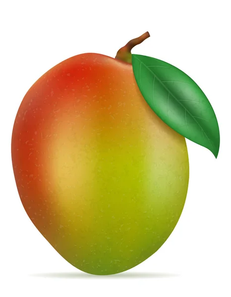 Mango vers rijp exotisch fruit vector illustratie — Stockvector