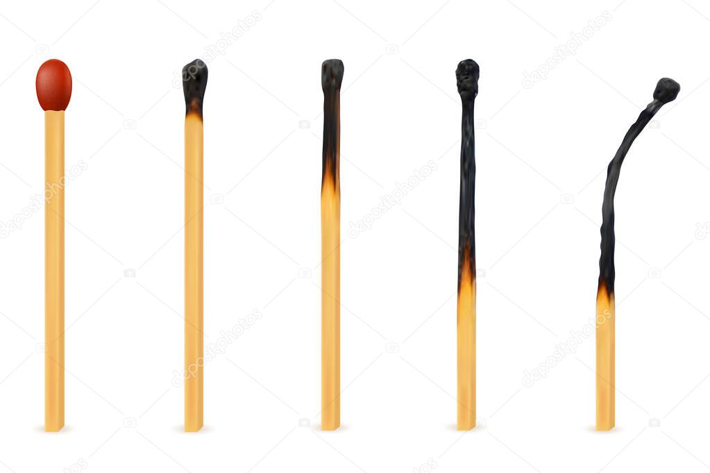 wooden burned and extinct match vector illustration