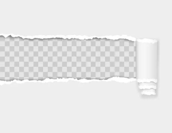 Illustration vectorielle de bord de papier déchiré — Image vectorielle