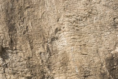 Mermer arka plan dokusu