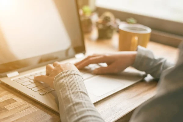 Working at home — Stock Photo, Image