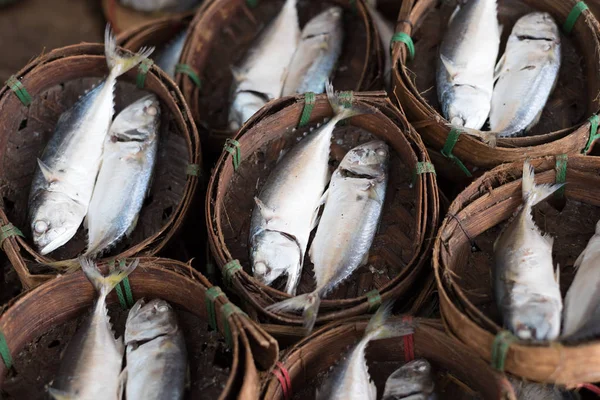 Peixes secos no mercado — Fotografia de Stock