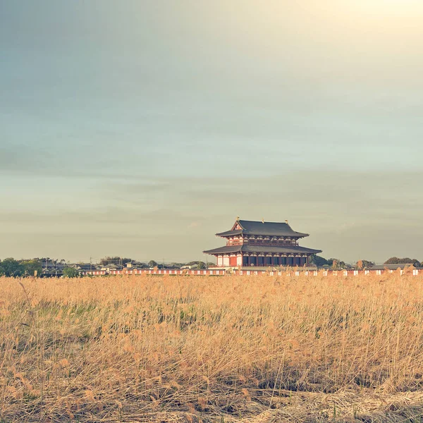 Nara císařský palác — Stock fotografie