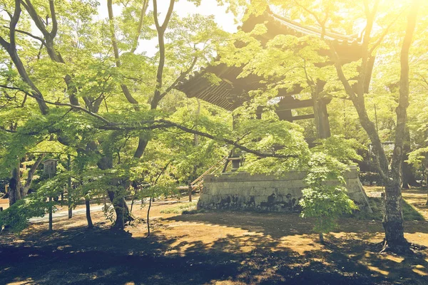 Gazebo in Japanese garden, Kyoto, Japan — Stock Photo, Image