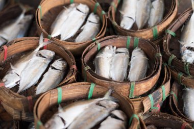 kurutulmuş balık Market