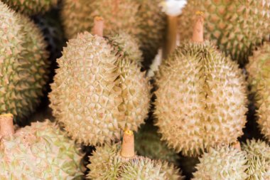 Tayland durian meyvesi