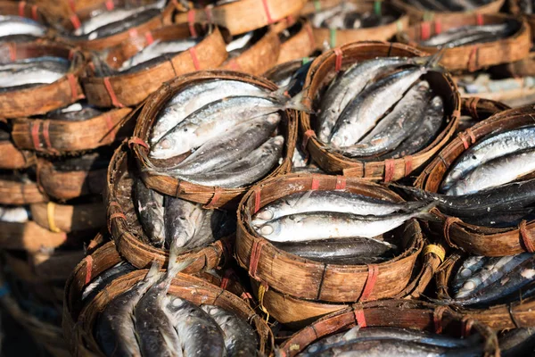 Сухая рыба на рынке — стоковое фото