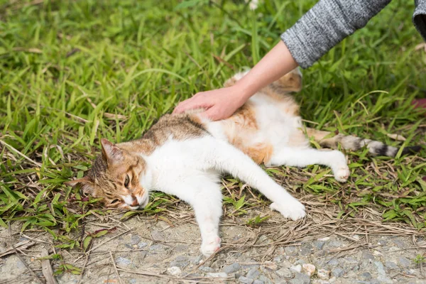 Dotknij kota — Zdjęcie stockowe