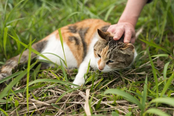Dotknij kota — Zdjęcie stockowe