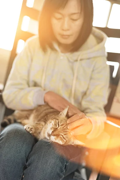 Donna tenere gatto — Foto Stock