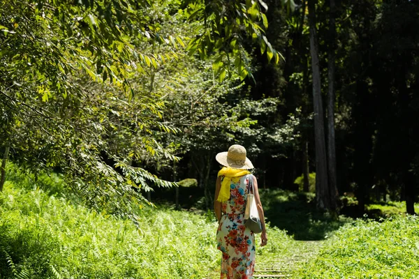 Nő kirándulás az erdőben Xitou — Stock Fotó