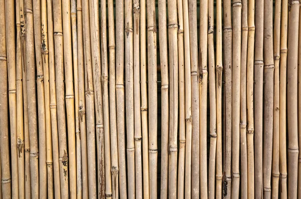 Fundo de parede de bambu amarelo — Fotografia de Stock