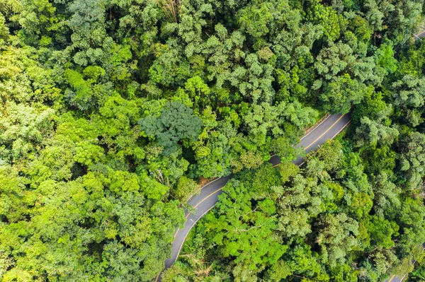 Vista aerea della strada nella foresta a Sun Moon Lake — Foto Stock