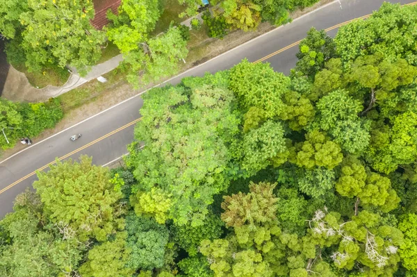 Vista aerea della strada sotto foresta — Foto Stock