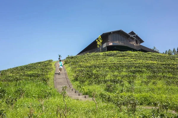 Asiatische reisende Frau zu Fuß auf einer Treppe — Stockfoto