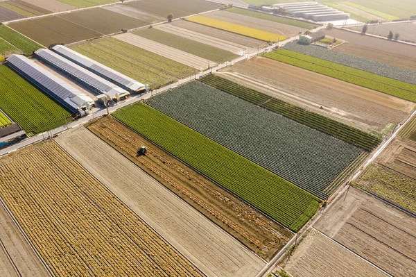 Colorida granja con edificios de generación de energía solar —  Fotos de Stock
