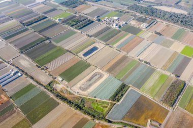 Sebzeli ve pirinçli renkli çiftlik.