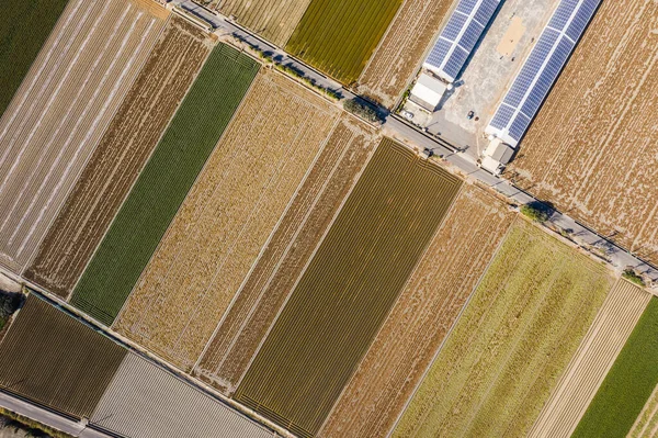 Kleurrijke boerderij met gebouwen voor zonne-energie — Stockfoto