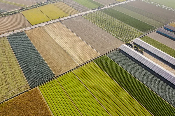 Güneş enerjisi üreten binaları olan renkli bir çiftlik. — Stok fotoğraf