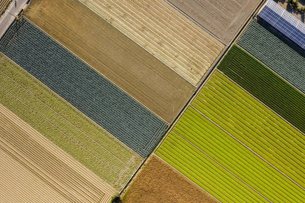 Ferme colorée avec des bâtiments de production d'énergie solaire — Photo