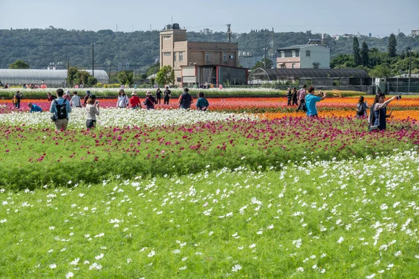 Daxi-Veranstaltung des taoyuan flower festival — Stockfoto