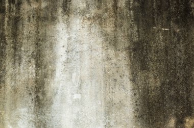 küflenmiş duvar arka plan