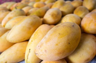 mango meyve sarı yığınları