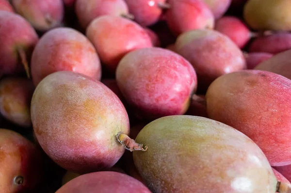 Rote Stapel von Mangofrüchten — Stockfoto