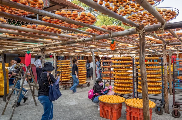 Weiweijia Persimmon boerderij — Stockfoto