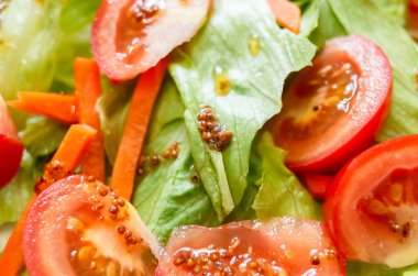 Kırmızı domatesli salata ve yeşil marul.