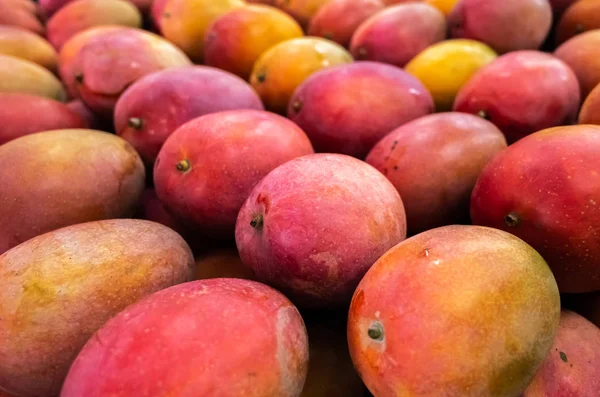 Rote Stapel von Mangofrüchten — Stockfoto