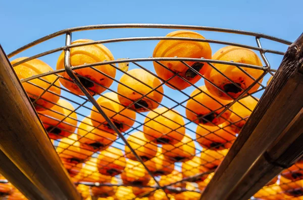 Dried up persimmon under the sun — Stock Photo, Image