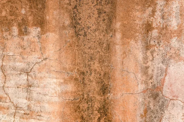 Brown dirty mildewed wall — Stock Photo, Image