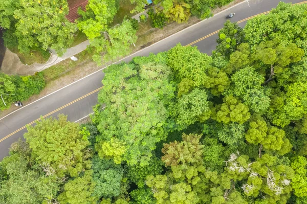 Vista aerea della strada sotto foresta — Foto Stock