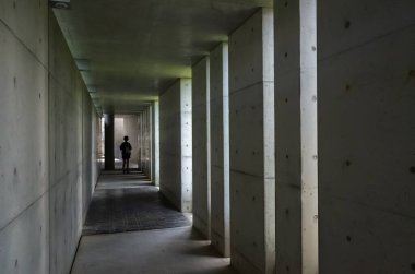 Yuhsiu Müzesi Sanat Asya kadın seyahat