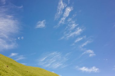 mavi gökyüzü altında yeşil otlak