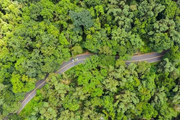 Vista aerea della strada nella foresta a Sun Moon Lake — Foto Stock