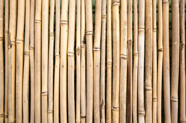Fundo Parede Bambu Amarelo Cerca Caseira Tradicional — Fotografia de Stock