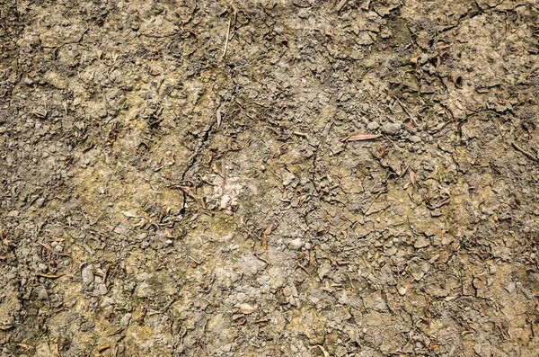 地面に黄色の葉を持つ乾燥した泥の土地自然乾燥や環境の概念的な背景 — ストック写真