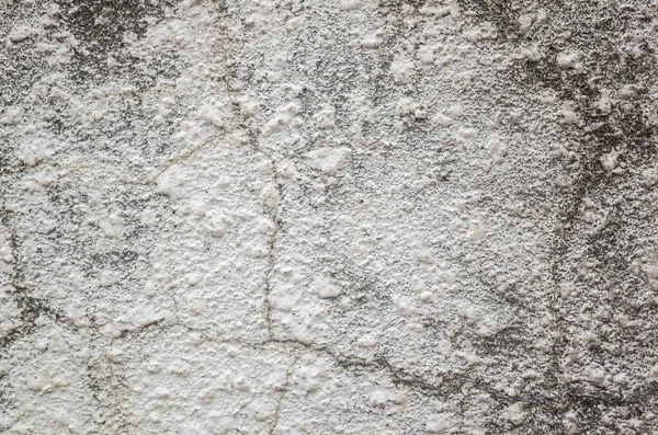 Dirty Gray Background Mold Wall — Stock Photo, Image