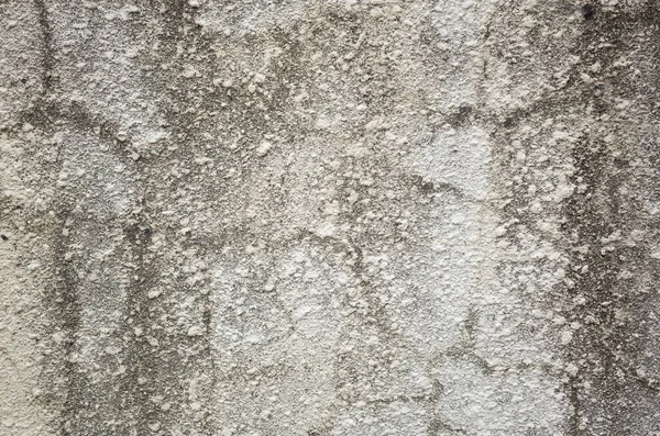 dirty gray background with mold on the wall