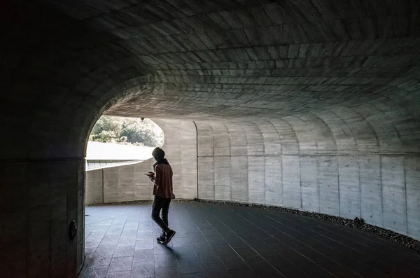 Nantou Taiwan November 5Th 2019 Modern Architecture Xiangshan Visitor Center — Stock Photo, Image