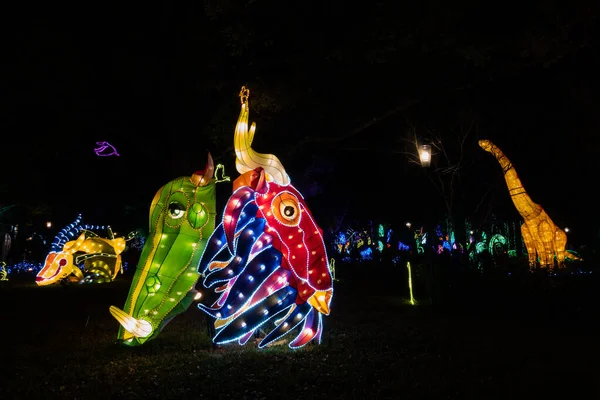 Taichung City Taiwan Fevereiro 2020 Festival Lanternas Com Turistas Lanternas — Fotografia de Stock