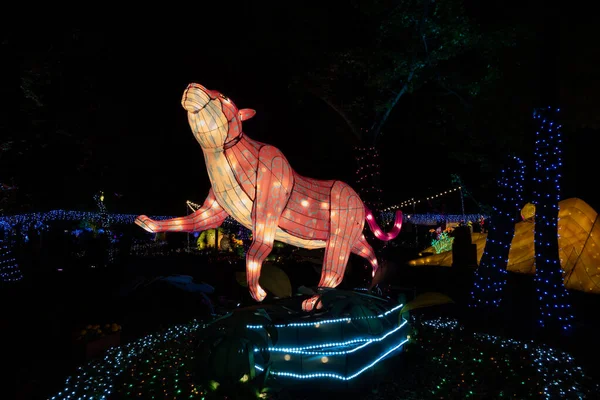Taichung City Taiwan Fevereiro 2020 Festival Lanternas Com Turistas Lanternas — Fotografia de Stock