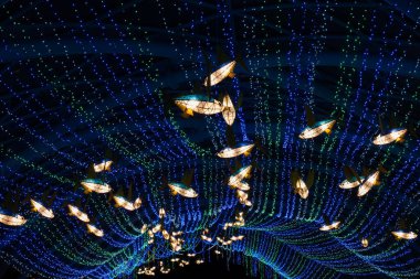 Taichung Şehri, Tayvan - 19 Şubat 2020: Tayvan, Asya 'daki Houli At Çiftliği' nde turist ve fenerlerle fener festivali