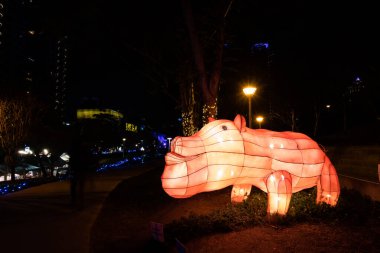 Taichung Şehri, Tayvan - 23 Şubat 2020: Tayvan, Asya 'daki Wen-Xin Orman Parkı' nda turist ve fenerlerle fener festivali