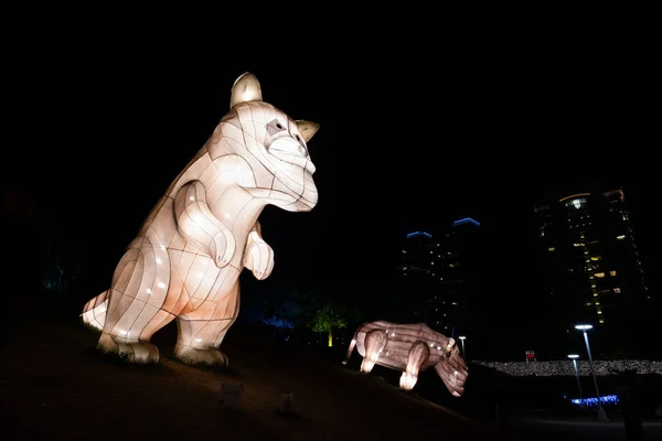 Taichung City Taiwan Fevereiro 2020 Festival Lanternas Com Turistas Lanternas — Fotografia de Stock