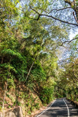 Şehirde ağacın altındaki Curval Yolu 'nda kimse yok.